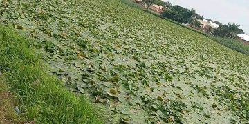 Call for Urgent Action as Sawla Dam’s Condition Worsens