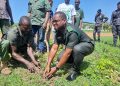 Bole District Forestry Division courts support of Chiefs, stakeholders towards National Greening project.