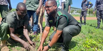 Bole District Forestry Division courts support of Chiefs, stakeholders towards National Greening project.